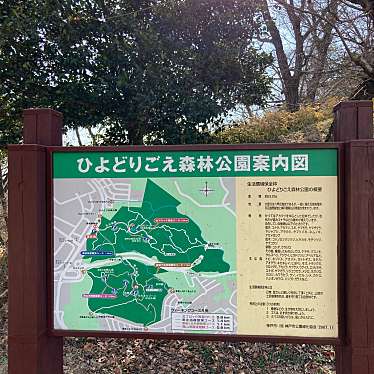 実際訪問したユーザーが直接撮影して投稿したひよどり台公園ひよどりごえ森林公園の写真