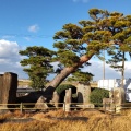 実際訪問したユーザーが直接撮影して投稿した森川町道の駅道の駅 立田ふれあいの里の写真