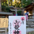 実際訪問したユーザーが直接撮影して投稿した嵯峨小倉山田淵山町神社御髪神社の写真