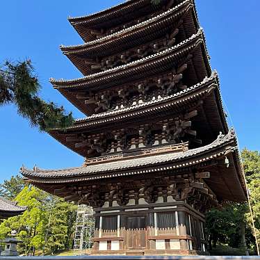 実際訪問したユーザーが直接撮影して投稿した登大路町寺興福寺の写真