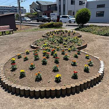 実際訪問したユーザーが直接撮影して投稿した中央公園けやき通りポケットパークの写真