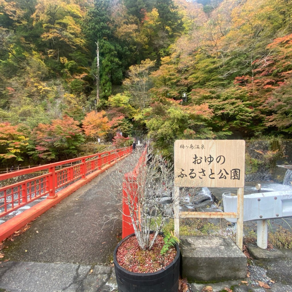 実際訪問したユーザーが直接撮影して投稿した梅ケ島公園おゆのふるさと公園の写真