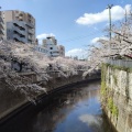 実際訪問したユーザーが直接撮影して投稿した関口公園江戸川公園の写真