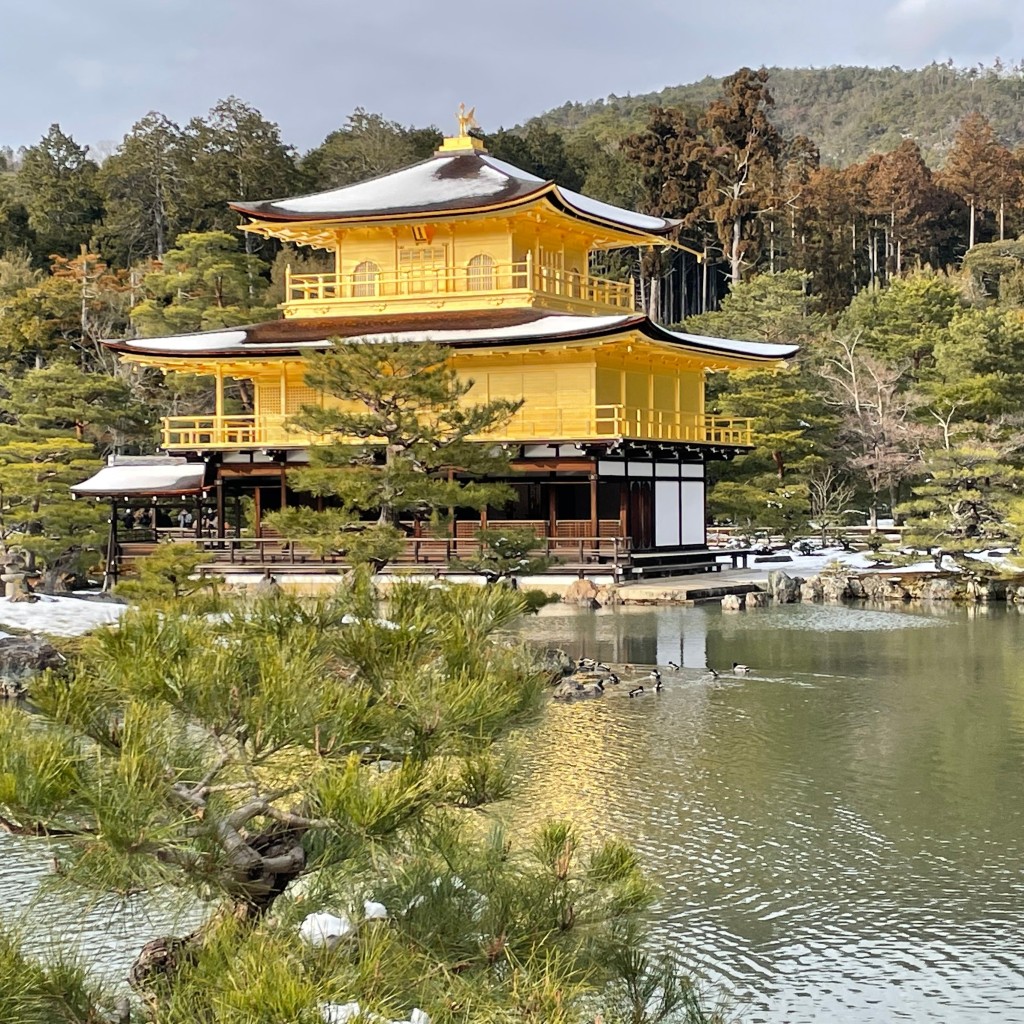 かずくんグルメと旅行さんが投稿した金閣寺町寺のお店金閣寺/キンカクジの写真