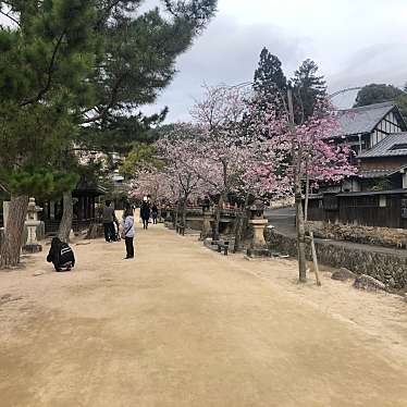 実際訪問したユーザーが直接撮影して投稿した宮島町神社厳島神社の写真