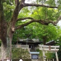 実際訪問したユーザーが直接撮影して投稿した八坂神社事任八幡宮の写真