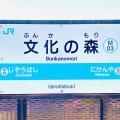 実際訪問したユーザーが直接撮影して投稿した八万町駅（代表）文化の森駅 (JR牟岐線)の写真