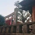 実際訪問したユーザーが直接撮影して投稿した下目黒神社大鳥神社の写真