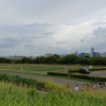 実際訪問したユーザーが直接撮影して投稿した大道南公園淀川河川公園の写真