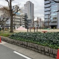 実際訪問したユーザーが直接撮影して投稿した大須公園裏門前公園の写真