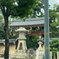 実際訪問したユーザーが直接撮影して投稿した社家町神社西宮神社の写真