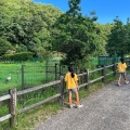 実際訪問したユーザーが直接撮影して投稿した祥雲寺公園兵庫県立 コウノトリの郷公園の写真
