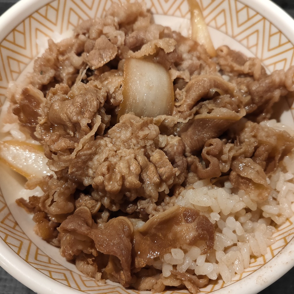 ユーザーが投稿した牛丼並の写真 - 実際訪問したユーザーが直接撮影して投稿した美浜丼ものすき家 イオン北谷店の写真