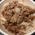 牛丼並 - 実際訪問したユーザーが直接撮影して投稿した美浜丼ものすき家 イオン北谷店の写真のメニュー情報