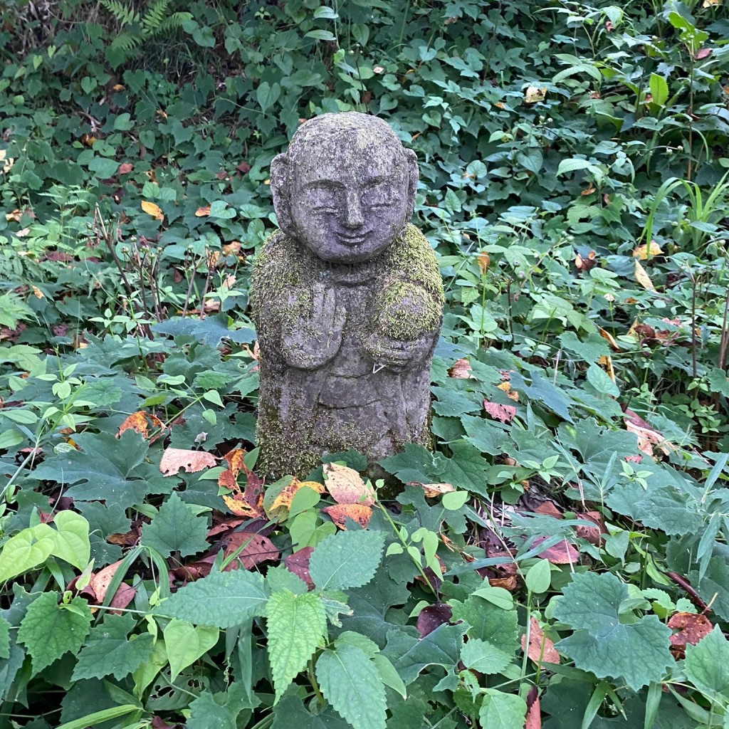 実際訪問したユーザーが直接撮影して投稿した喜連川公園お丸山公園の写真