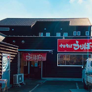 グルメリポートさんが投稿した川内町ラーメン / つけ麺のお店中華そば うりぼう/チュウカソバウリボウの写真