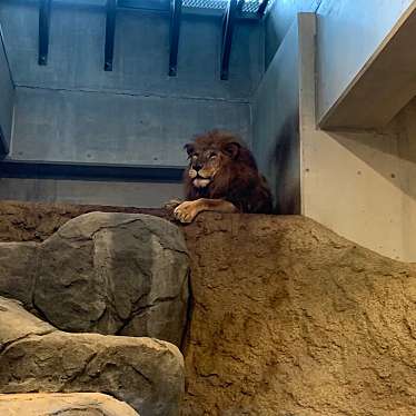 ふぃる2300さんが投稿した宮ケ丘動物園のお店札幌市円山動物園/サッポロシマルヤマドウブツエンの写真