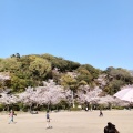 実際訪問したユーザーが直接撮影して投稿した綾羽公園五月山公園の写真