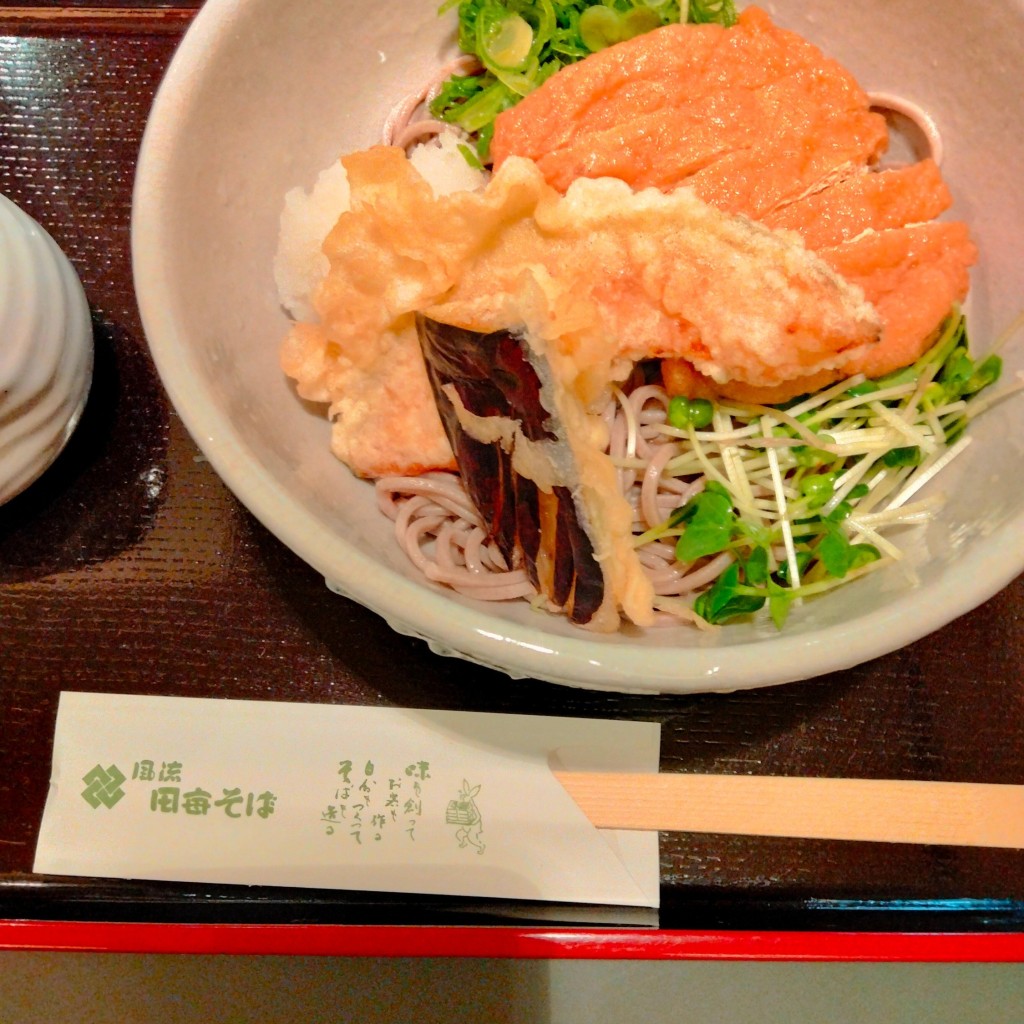 ユーザーが投稿した麺類の写真 - 実際訪問したユーザーが直接撮影して投稿した芝田そば風流 田毎そば 阪急三番街の写真