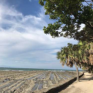 実際訪問したユーザーが直接撮影して投稿した青島海の家AOSHIMA BEACH PARKの写真