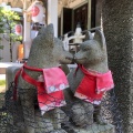 実際訪問したユーザーが直接撮影して投稿した猿江神社猿江神社の写真