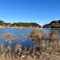 実際訪問したユーザーが直接撮影して投稿したおゆみ野中央公園大百池公園の写真