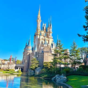 東京ディズニーランドのundefinedに実際訪問訪問したユーザーunknownさんが新しく投稿した新着口コミの写真