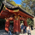 実際訪問したユーザーが直接撮影して投稿した雪ノ下神社鶴岡八幡宮 手水舎の写真