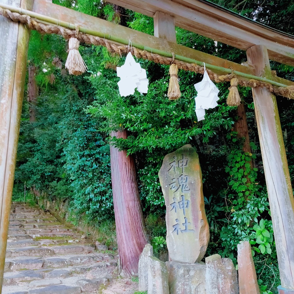 実際訪問したユーザーが直接撮影して投稿した大庭町神社神魂神社の写真