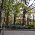 実際訪問したユーザーが直接撮影して投稿した三の丸公園名城公園の写真