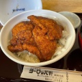 ガッツ丼 - 実際訪問したユーザーが直接撮影して投稿した水落町洋食ヨーロッパ軒 神明分店の写真のメニュー情報