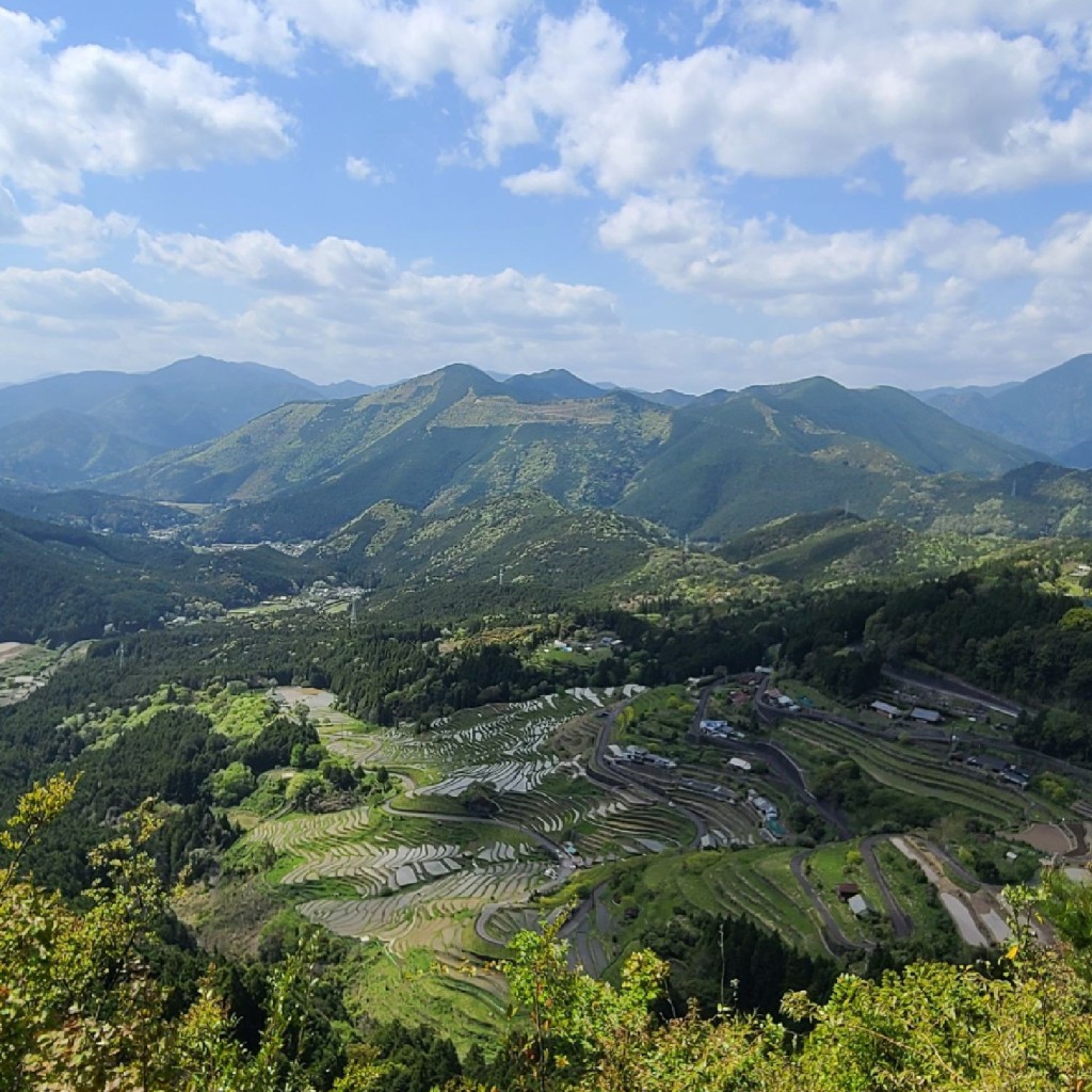 実際訪問したユーザーが直接撮影して投稿した自然名所丸山千枚田の写真