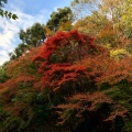 実際訪問したユーザーが直接撮影して投稿した箕面公園公園箕面公園の写真