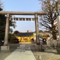 実際訪問したユーザーが直接撮影して投稿した浅草地域名所浅草神社鳥居の写真