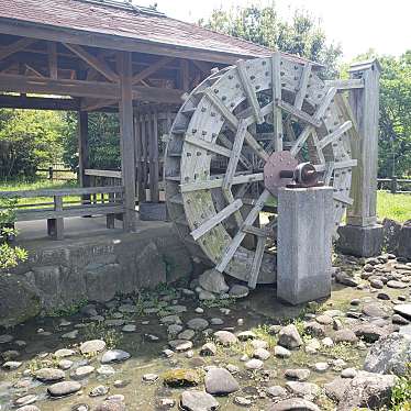 実際訪問したユーザーが直接撮影して投稿した下池永公園石堂池公園の写真