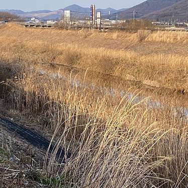 実際訪問したユーザーが直接撮影して投稿した河川三杉川の写真