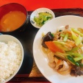 肉野菜炒め - 実際訪問したユーザーが直接撮影して投稿した練馬中華料理満州楼の写真のメニュー情報