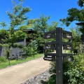 実際訪問したユーザーが直接撮影して投稿した本町田公園町田薬師池公園 四季彩の杜 西園の写真