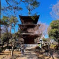 実際訪問したユーザーが直接撮影して投稿した豪徳寺寺豪徳寺の写真