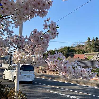 ふぃる2300さんが投稿した木次町木次桜の名所のお店斐伊川堤防桜並木/ヒイカワテイボウサクラナミキの写真