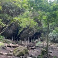 実際訪問したユーザーが直接撮影して投稿した仙石原山 / 峠金時山の写真