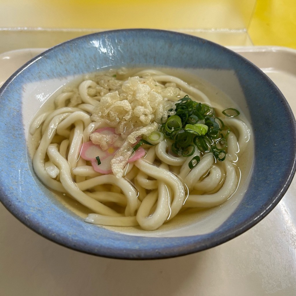 ユーザーが投稿したうどんの写真 - 実際訪問したユーザーが直接撮影して投稿した西島田町定食屋JR貨物食堂の写真