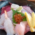 実際訪問したユーザーが直接撮影して投稿した金谷魚介 / 海鮮料理漁師料理 かなやの写真