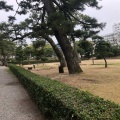 実際訪問したユーザーが直接撮影して投稿した玉藻町公園史跡高松城跡 玉藻公園の写真