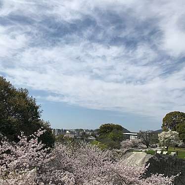 maruko_さんが投稿した本丸城 / 城跡のお店熊本城/クマモトジョウの写真