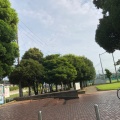 実際訪問したユーザーが直接撮影して投稿した上和田公園宮久保公園の写真