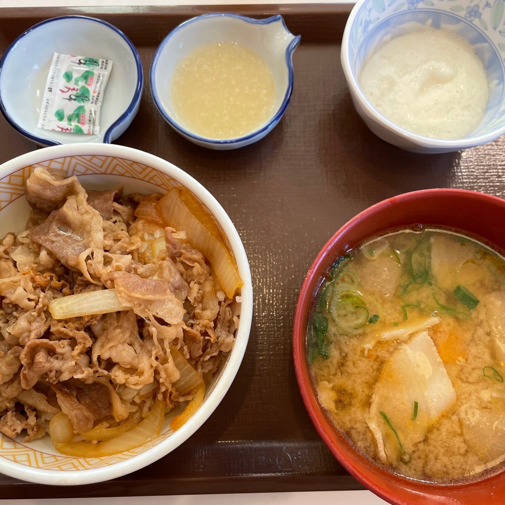 ユーザーが投稿したわさび山かけ牛丼 塩麹とん汁セットの写真 - 実際訪問したユーザーが直接撮影して投稿した三橋町柳河牛丼すき家 208号柳川店の写真