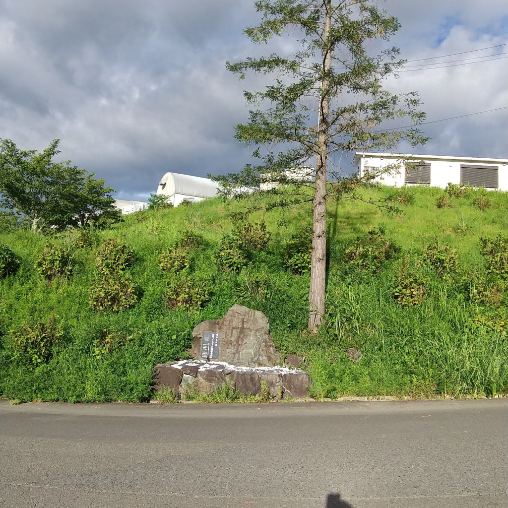 実際訪問したユーザーが直接撮影して投稿した恋野記念碑筒香嘉智横浜ベイスターズ入団記念碑の写真
