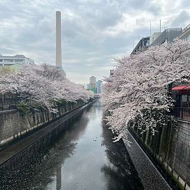 なかめ公園橋のundefinedに実際訪問訪問したユーザーunknownさんが新しく投稿した新着口コミの写真