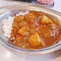 実際訪問したユーザーが直接撮影して投稿した東めむろ三条南カレーカレーショップ インデアン 芽室店の写真